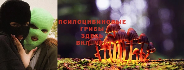 крисы Баксан