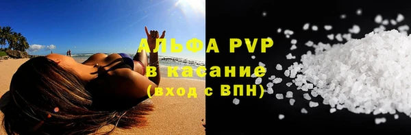 крисы Баксан