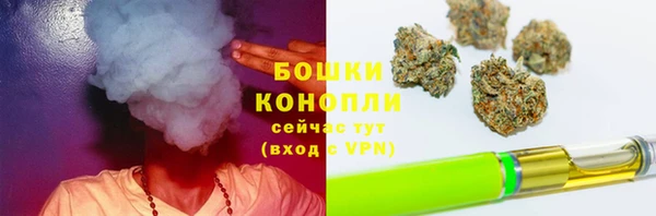 соль ск Балабаново