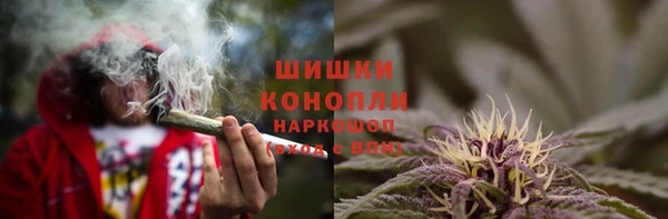 крисы Баксан