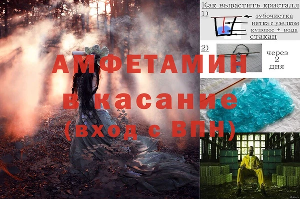 крисы Баксан