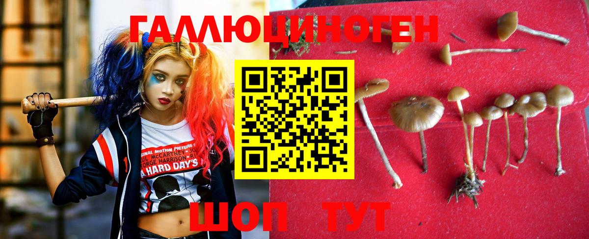 Галлюциногенные грибы мухоморы  Вход с VPN  Новый Уренгой 