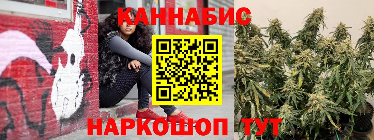 Канабис White Widow  Канабис план  Бошки марихуана гибрид  Вход с VPN  Новый Уренгой 